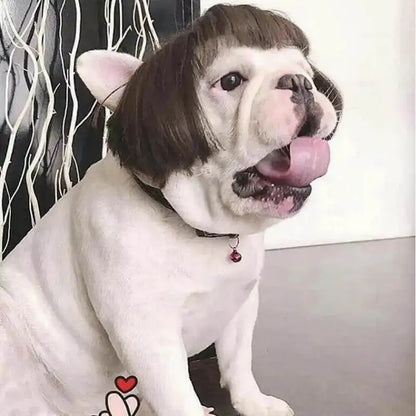 Pet Wigs