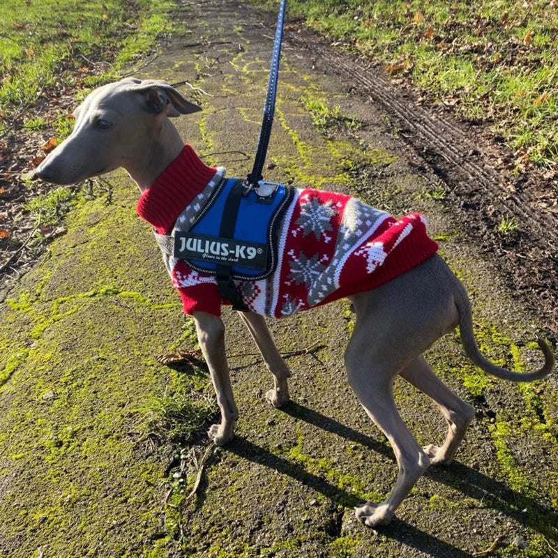 Christmas Warm Dog Sweater