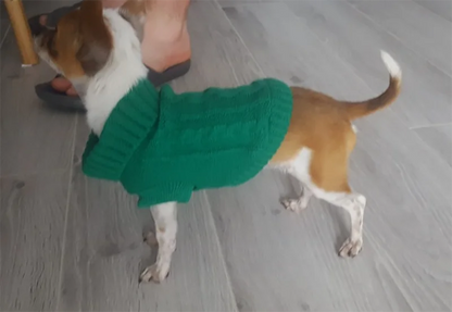 Warm Pet Sweater Coat