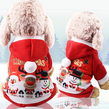 Winter Wonderland Pet Coat