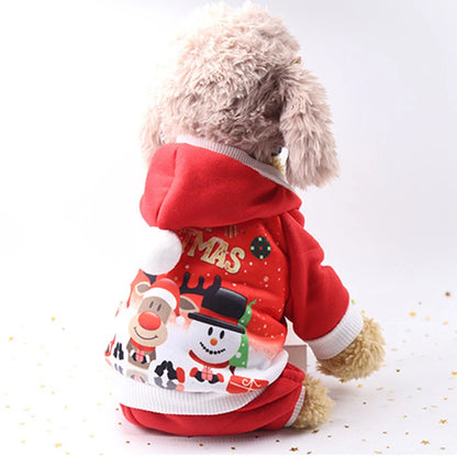 Winter Wonderland Pet Coat