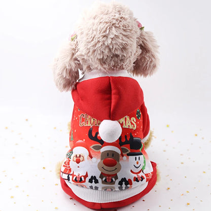 Winter Wonderland Pet Coat