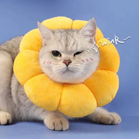 Soft Plush Sunflower Collar – Anti-Lick & Anti-Bite Surgery Recovery for Cats