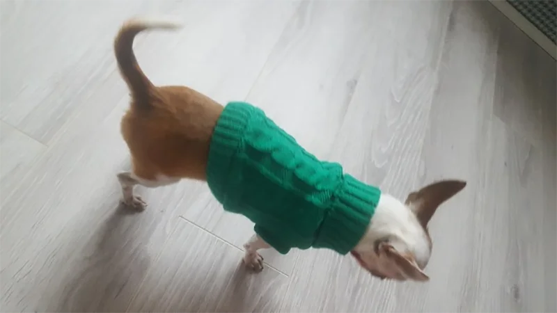 Warm Pet Sweater Coat