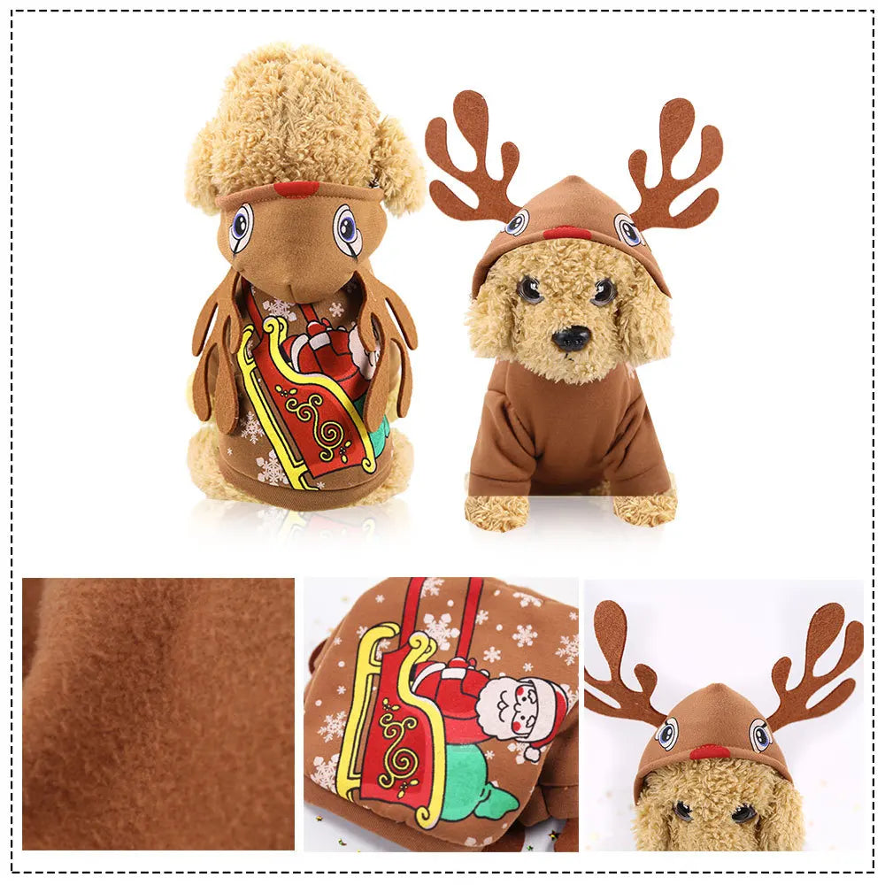 Winter Wonderland Pet Coat