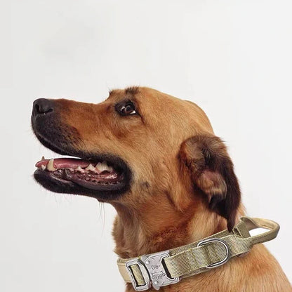 Durable Reflective Large Dog Collar & Leash Set