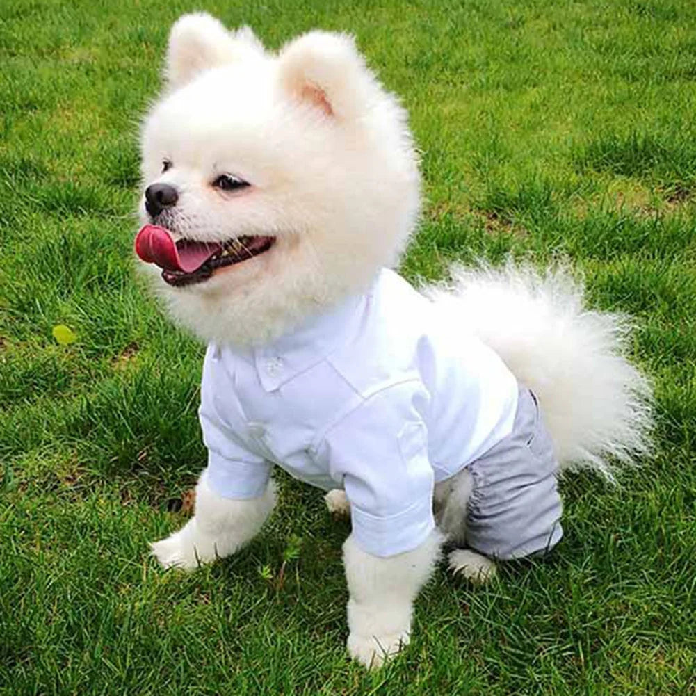 Dog Tuxedo Suit: Formal Wedding Outfit for Small Dogs