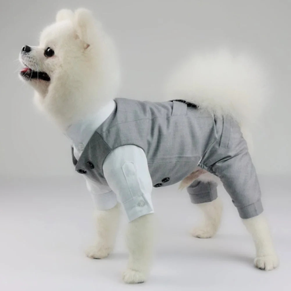 Dog Tuxedo Suit: Formal Wedding Outfit for Small Dogs