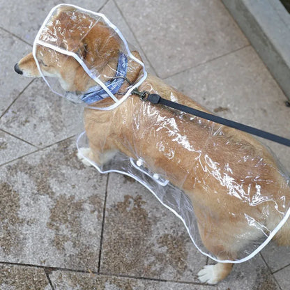 Transparent Waterproof Dog Raincoat