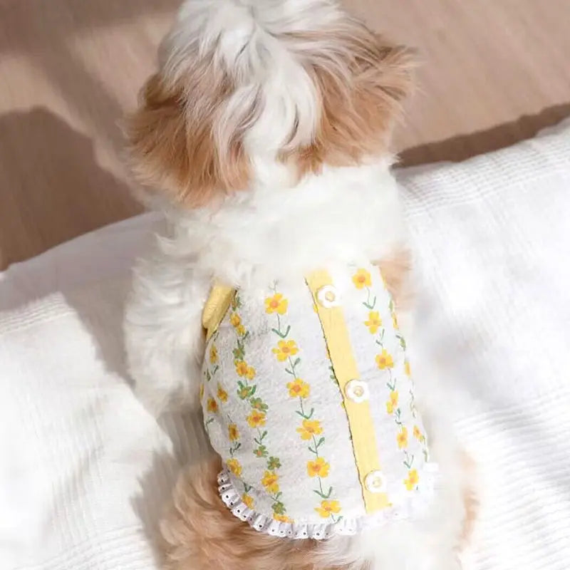 Adorable Summer Dog Vest