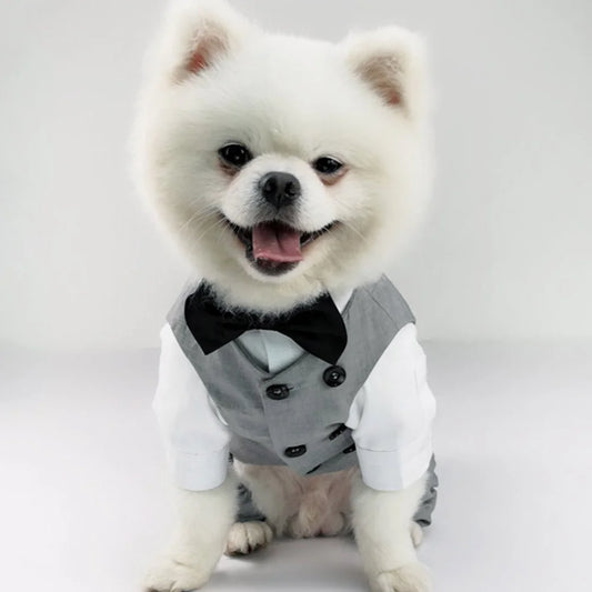 Dog Tuxedo Suit: Formal Wedding Outfit for Small Dogs