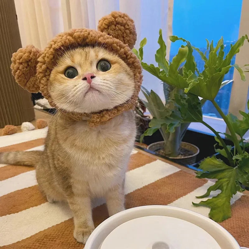 Cute Plush Bear Cat Cap - Warm Pet Headdress for Cosplay