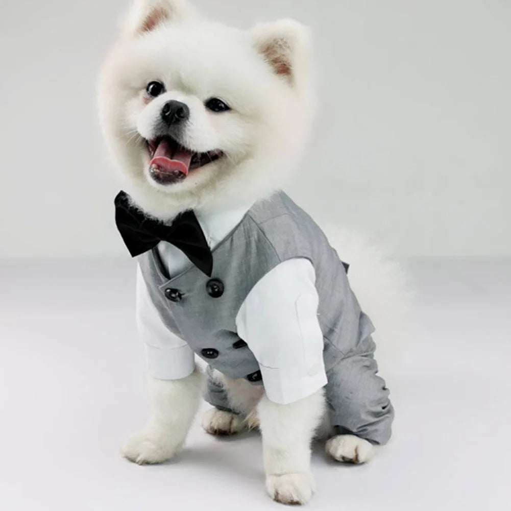 Dog Tuxedo Suit: Formal Wedding Outfit for Small Dogs