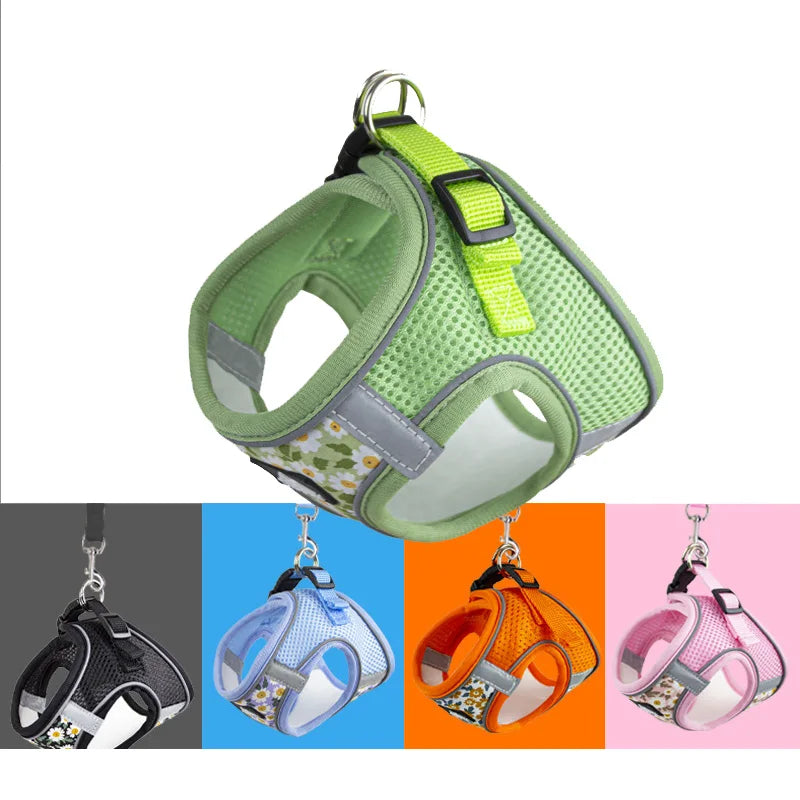 No-Pull Reflective Dog Harness & Leash Set