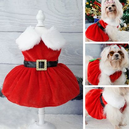 Christmas Dog Dress with Red Skirt – Cozy Holiday Outfit for Pets