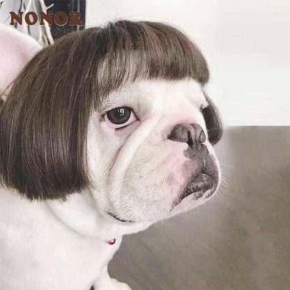 Pet Wigs