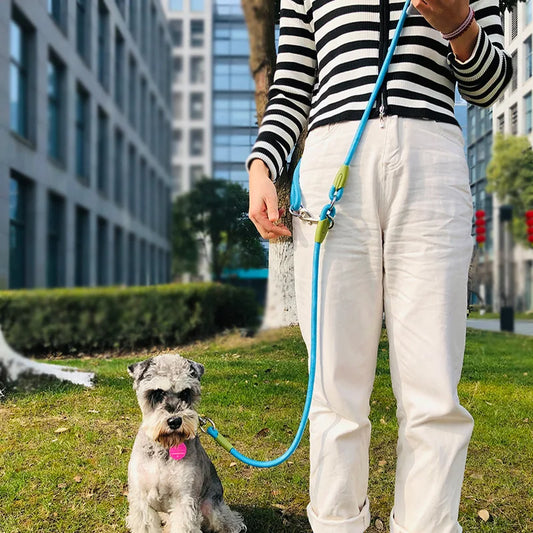 Reflective Nylon Dog Leashes