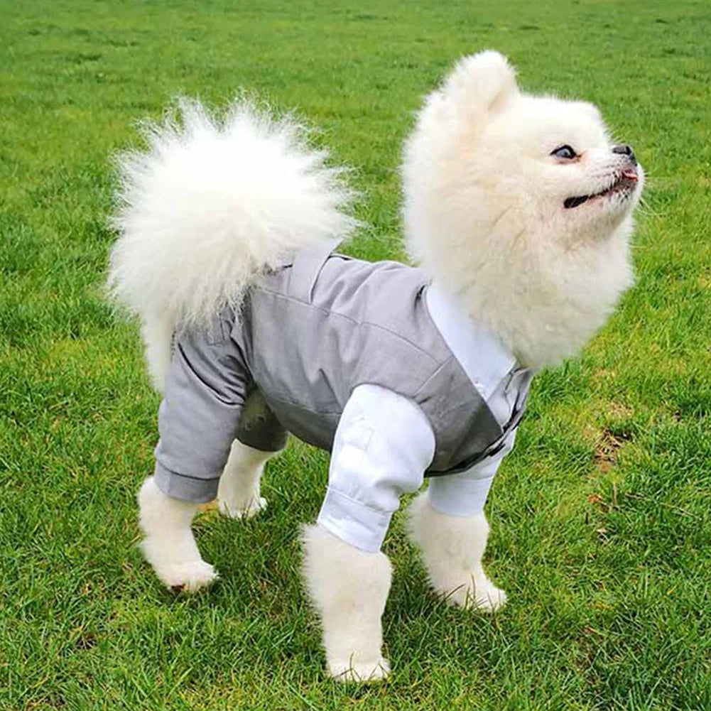 Dog Tuxedo Suit: Formal Wedding Outfit for Small Dogs