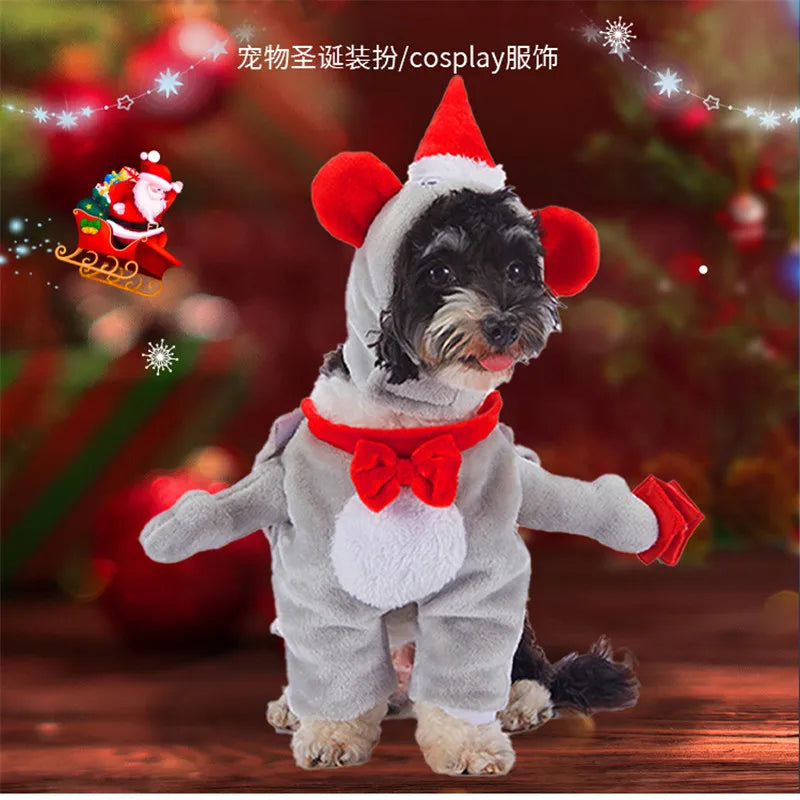 Festive Furry Friends: Halloween & Christmas Costume