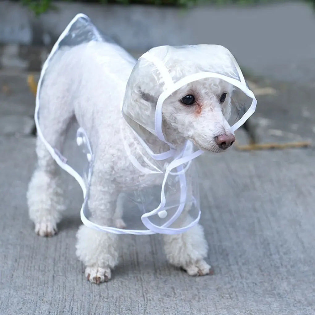 Transparent Waterproof Dog Raincoat