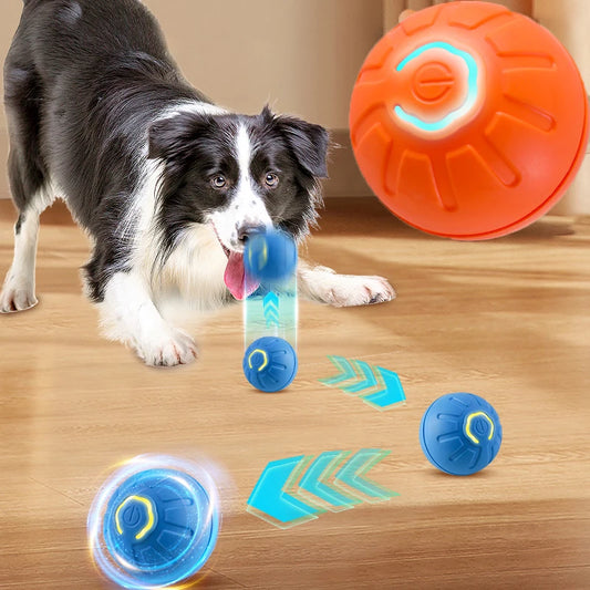 Interactive Smart Dog Toy Ball