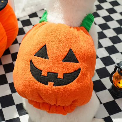 Pumpkin Halloween Cat Costume Set – Cute Hat & Scarf for Cats & Small Dogs