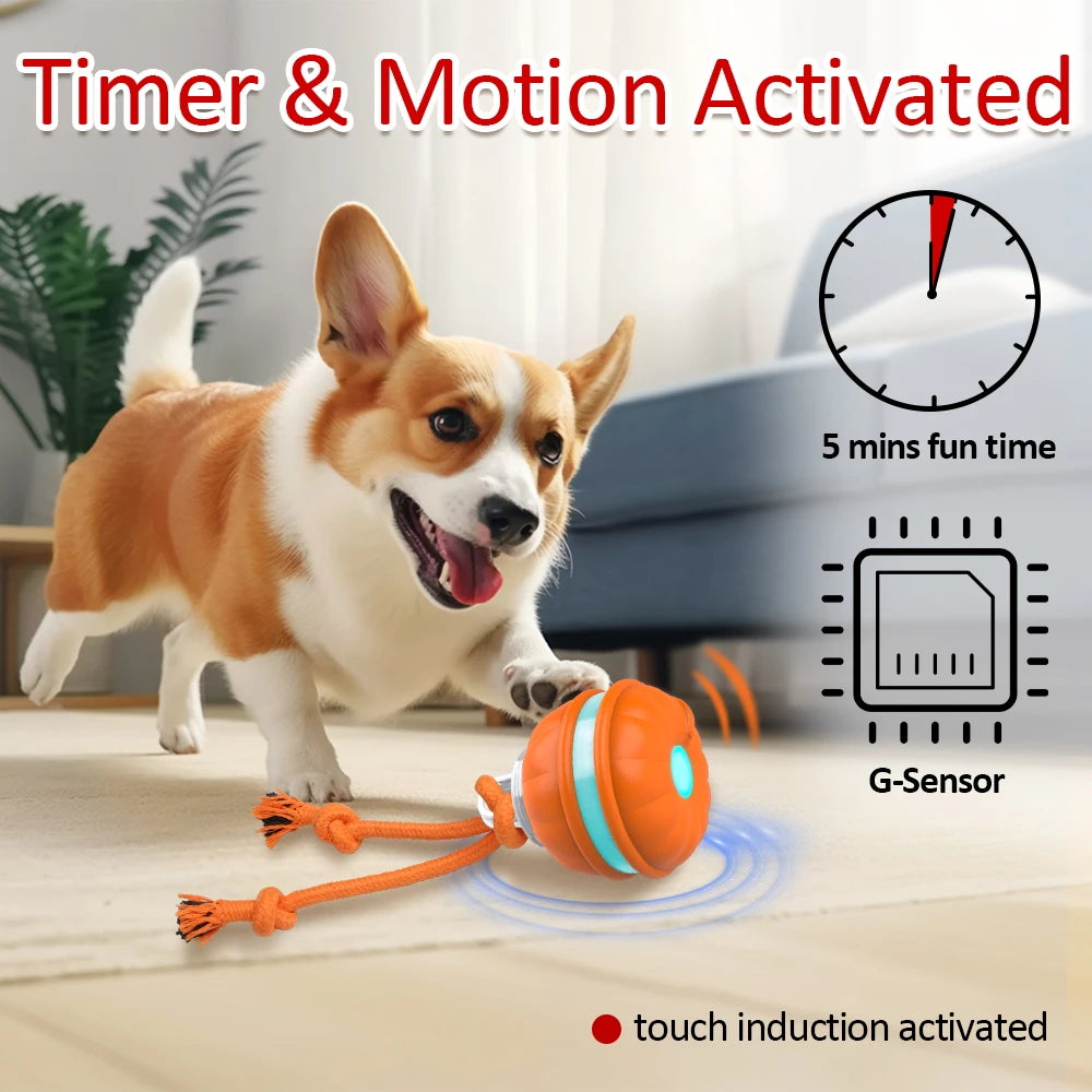 Interactive Motion-Activated Dog Toy Ball: Automatic Chew & Tease Fun