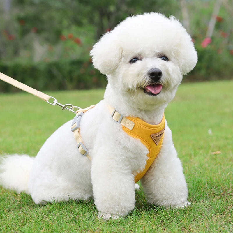 Adjustable Chest Strap Harness & Leash for Small Pets