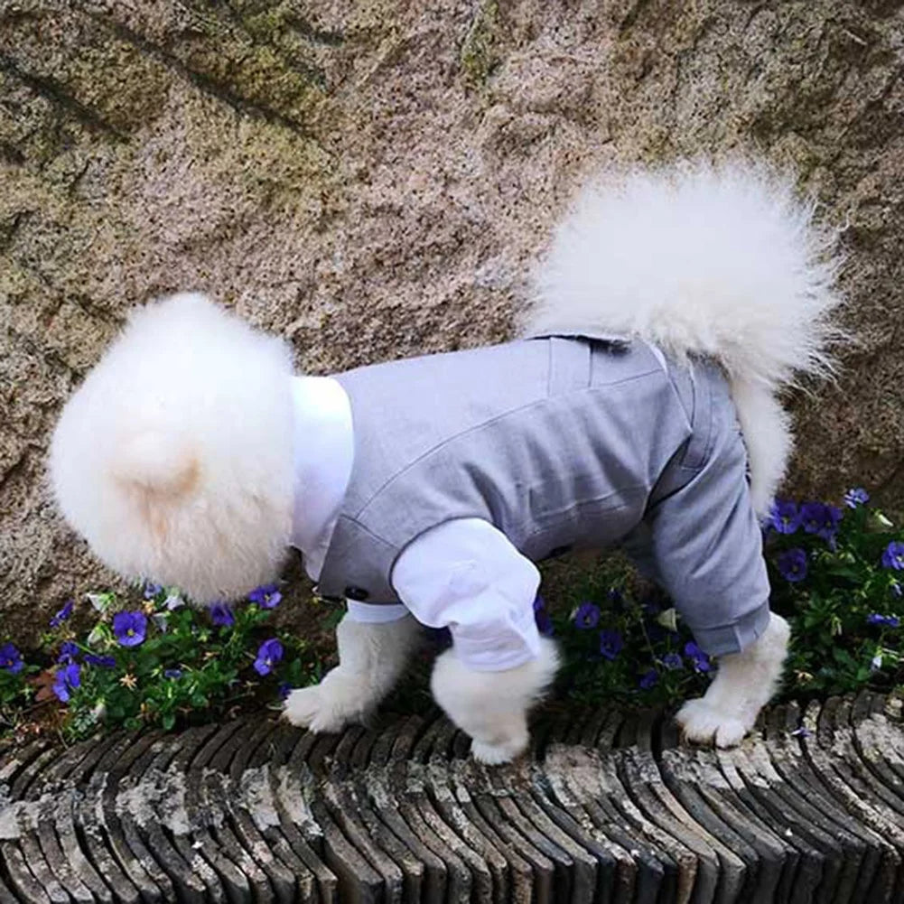 Dog Tuxedo Suit: Formal Wedding Outfit for Small Dogs