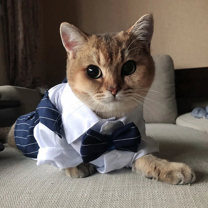 Handsome Cat Dog Party Suit Clothing