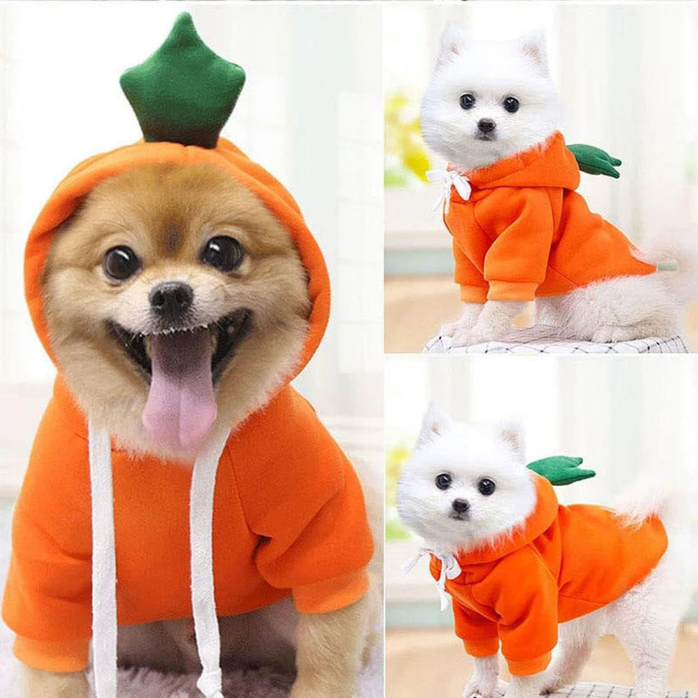 Fruit Hoodie - Halloween Cosplay Costume for Dogs & Cats