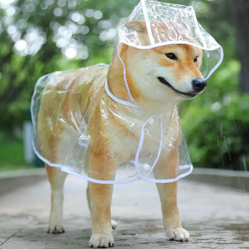 Transparent Waterproof Dog Raincoat