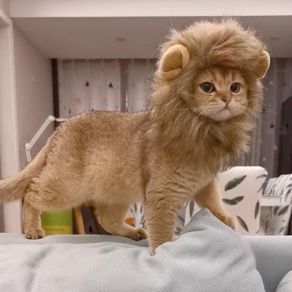 Humorous Lion Mane Pet Hairpiece