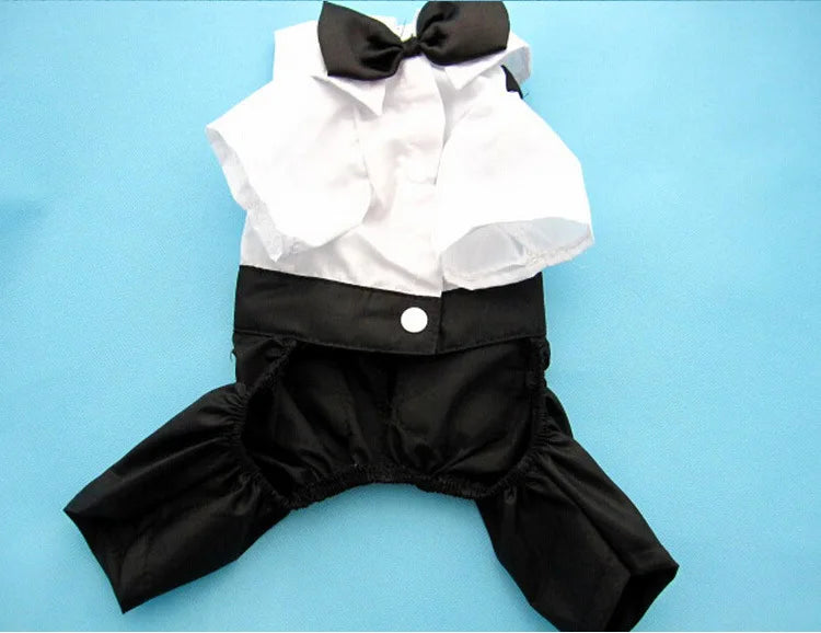 Pet Tuxedo Suit: Bow Tie Coat for Dogs & Cats