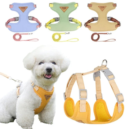 Adjustable Chest Strap Harness & Leash for Small Pets