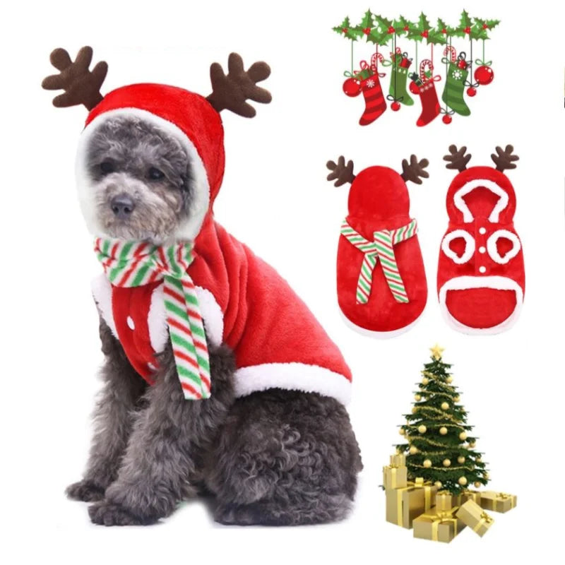 Trendy Holiday Flannel for Pets