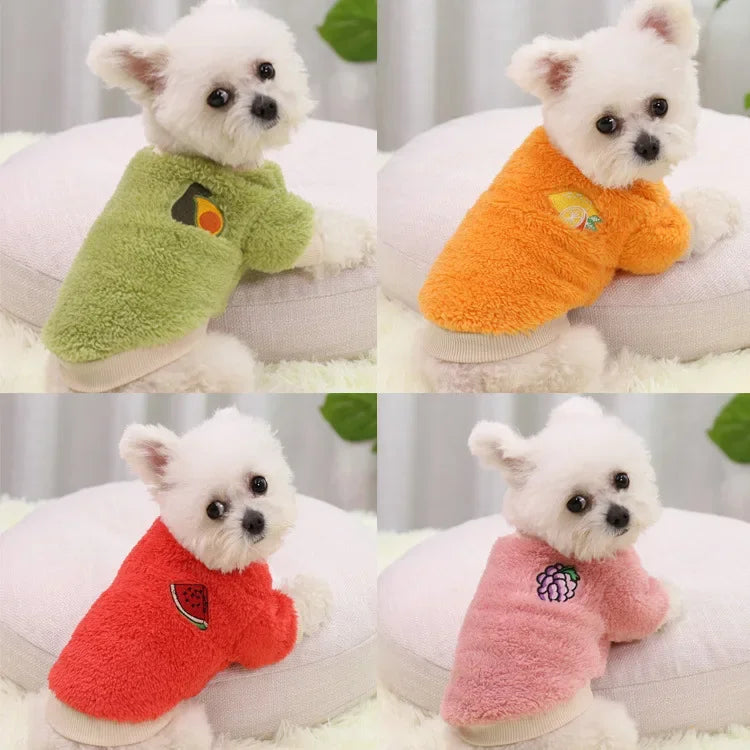 Warm Dog Coat and Hoodie for Small Pet