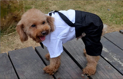 Pet Tuxedo Suit: Bow Tie Coat for Dogs & Cats