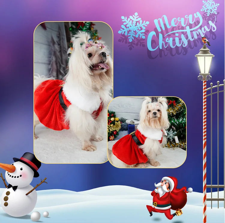 Christmas Dog Dress with Red Skirt – Cozy Holiday Outfit for Pets