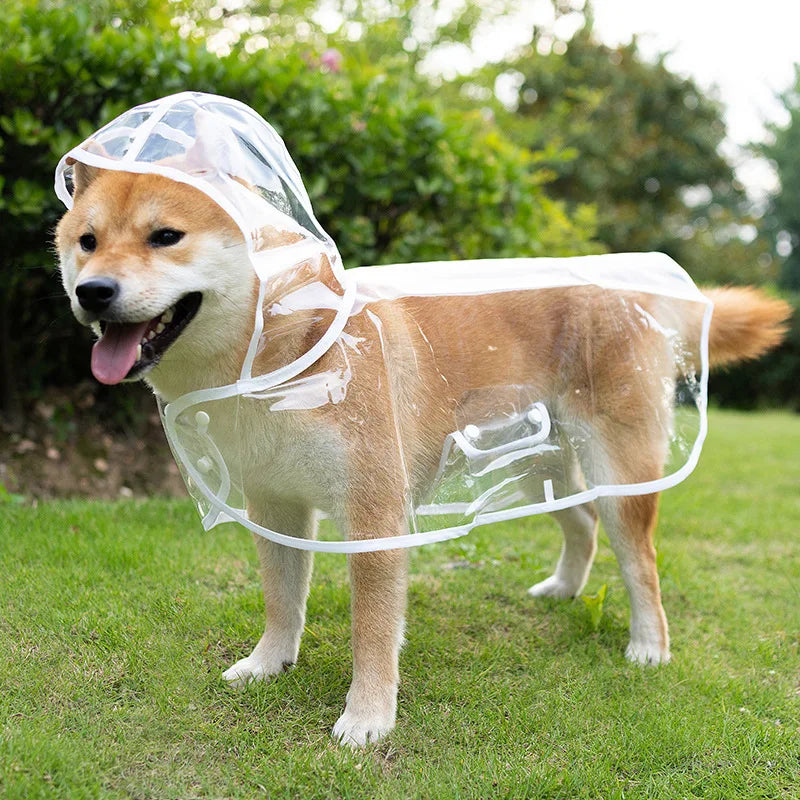 Transparent Waterproof Dog Raincoat