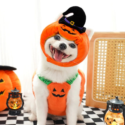 Pumpkin Halloween Cat Costume Set – Cute Hat & Scarf for Cats & Small Dogs