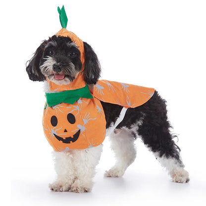 Festive Furry Friends: Halloween & Christmas Costume