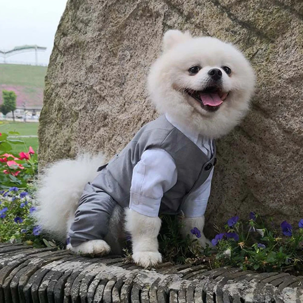 Dog Tuxedo Suit: Formal Wedding Outfit for Small Dogs