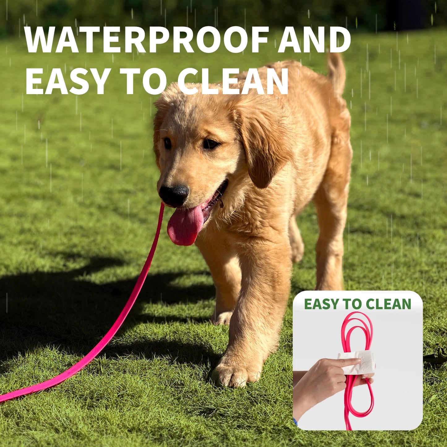 Versatile Waterproof Dog Training Leash