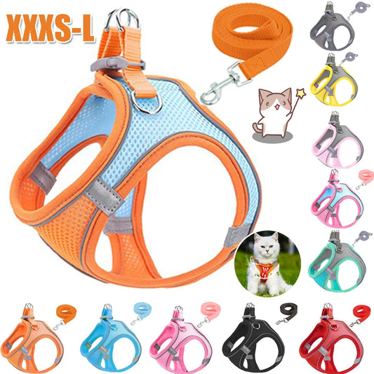 Lightweight Reflective Dog Harness with Matching Leash