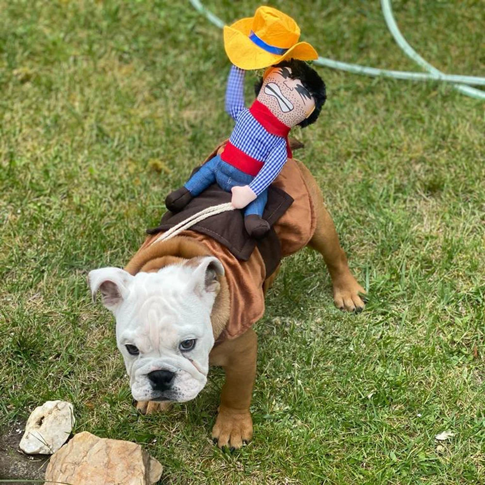 Funny Cowboy Costume for Dogs