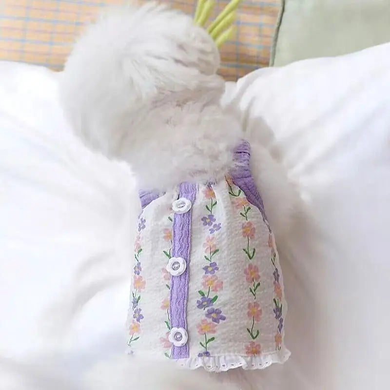 Adorable Summer Dog Vest