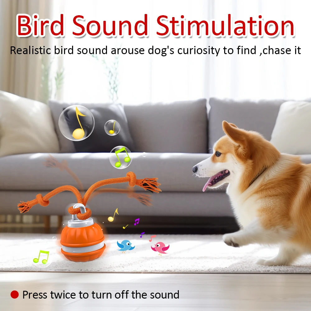 Interactive Motion-Activated Dog Toy Ball: Automatic Chew & Tease Fun