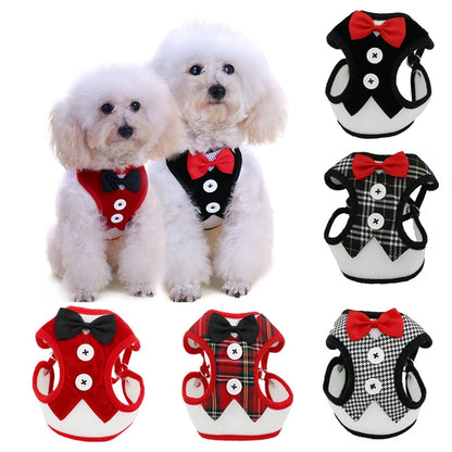 Breathable Vest Harness & Leash Set for Cat Dog