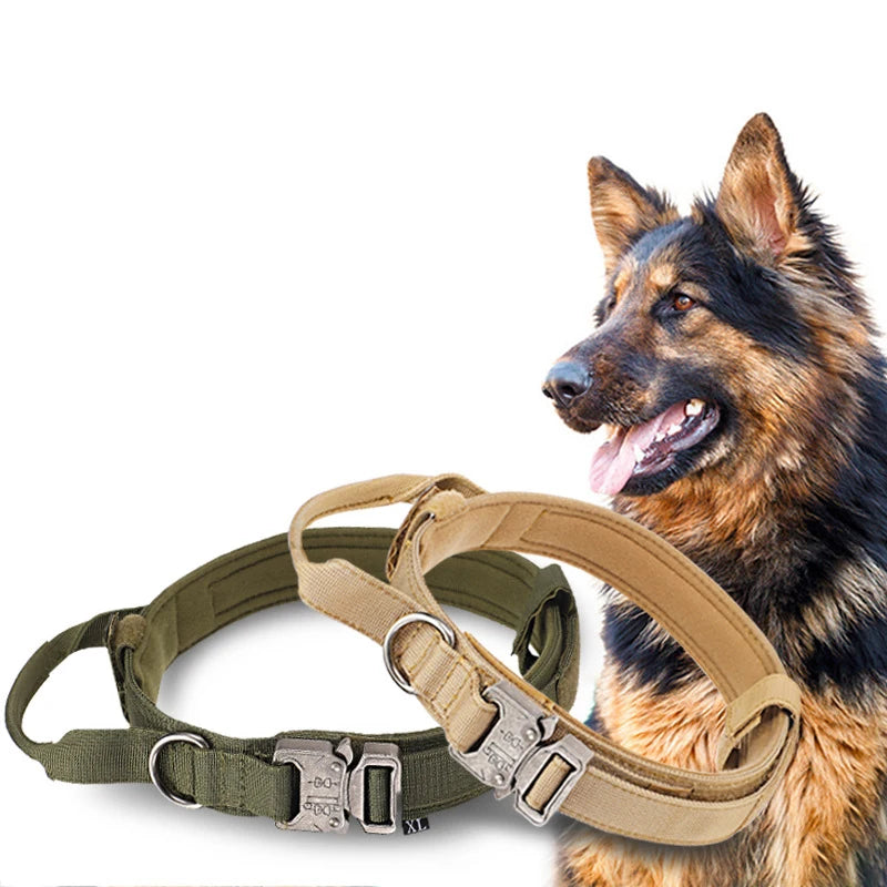 Durable Reflective Large Dog Collar & Leash Set